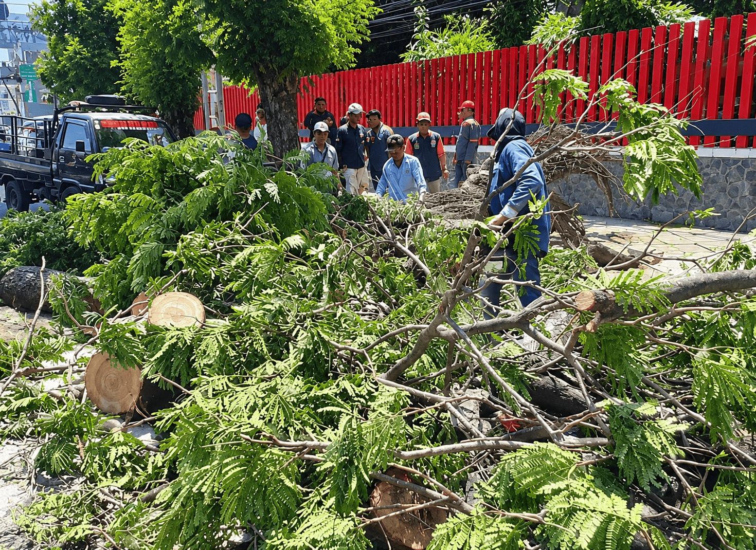 foto Berita PEMKOT SEMARANG EVAKUASI POHON TUMBANG DAN MEMBERIKAN PENDAMPINGAN PADA KORBAN