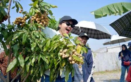 foto Berita Wali Kota Agustina Wilujeng Resmikan Agro Eduwisata Masjid Agung Semarang Dorong Pengembangan Wisata Pertanian Kota Semarang