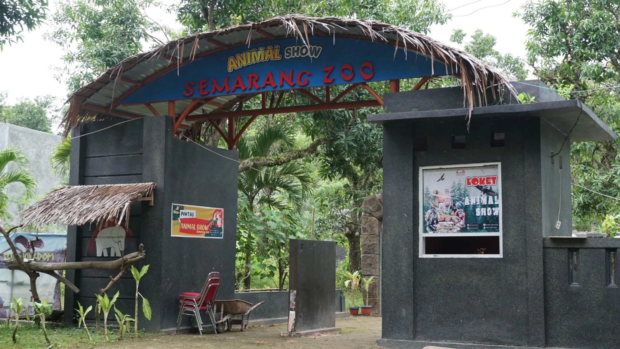foto Berita Pemkot Semarang Pastikan Penanganan Kematian Harimau Benggala Putih koleksi Semarang Zoo Telah Dilaksanakan Sesuai Prosedur